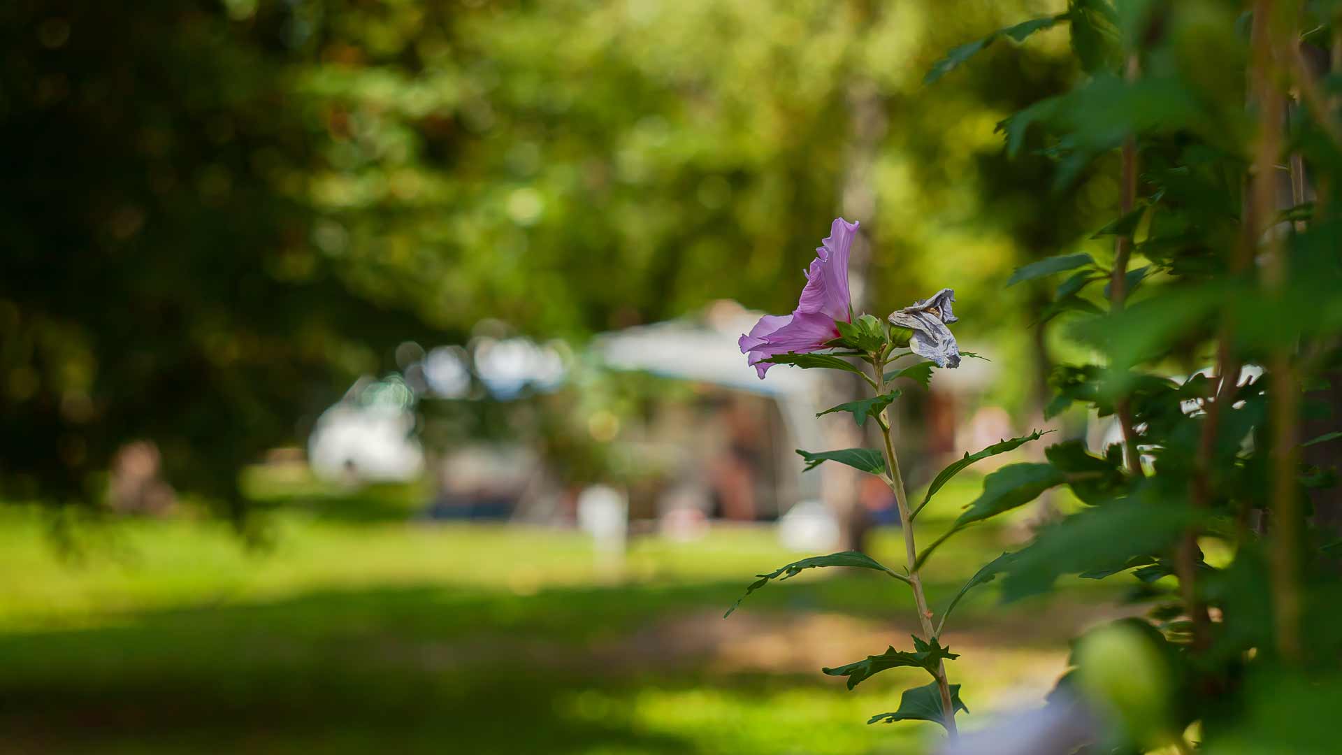 előszezon Thermal Camping - Thermal Fürdő Zalakaros