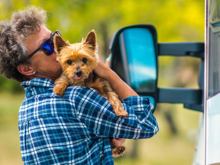 kutyabarát kisállatbarát kemping Zalakaros Thermal Camping